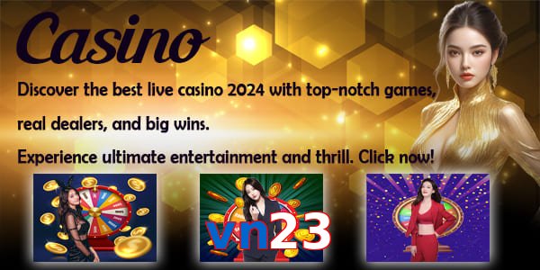 vn23